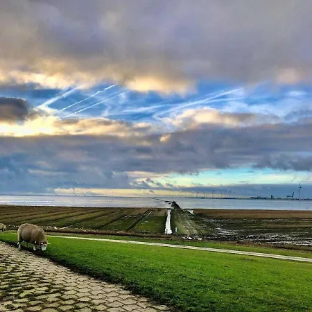 Dollartbrise 45005 Pogum