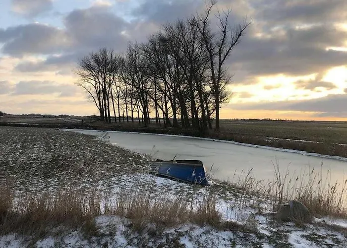 Dollartbrise 45005 *