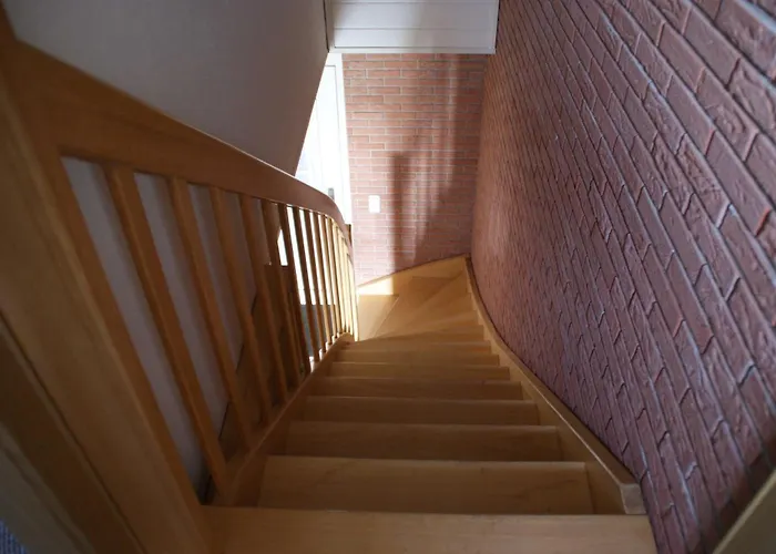 Dollartbrise 45005 Pogum